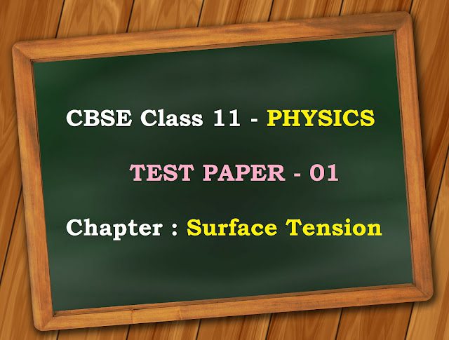 CBSE Class 11 Physics Test Papers Surface Tension Test Paper 1