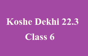 Koshe Dekhi 22.3 Class 6