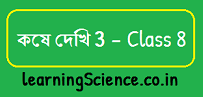 koshe dekhi 3 class 8